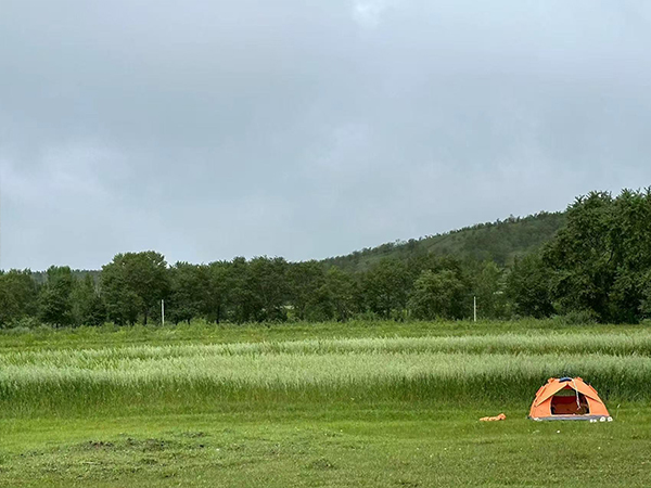 这里是相关文章分类的标题，可以加文字640378086