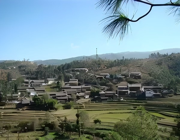 集体土地强行流转及破坏纠纷法律分析：村民三项诉求合法有据，可通过多途径实现