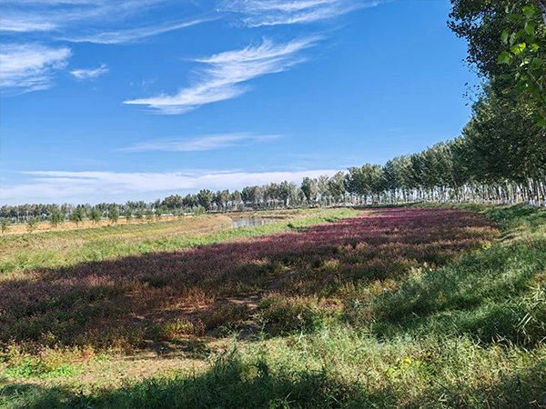 这里是相关文章分类的标题，可以加文字350540884