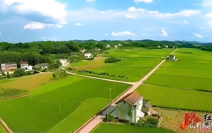 广西 2000 亩果园林地遭高速征收，补偿标准过低，该如何维权谈判？